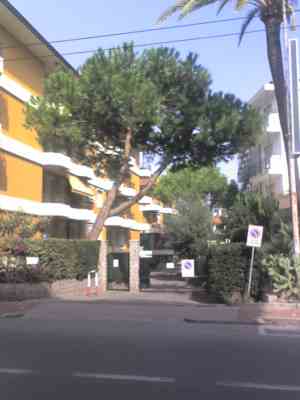 Bordighera