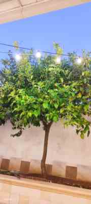 San pietro in bevagna