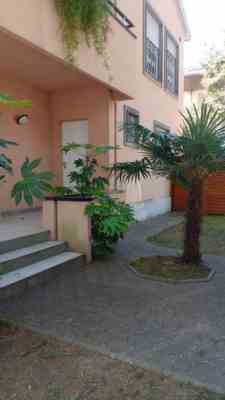 Cattolica