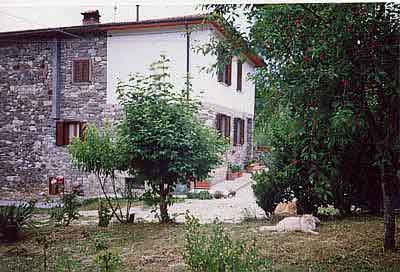 Caprese michelangelo