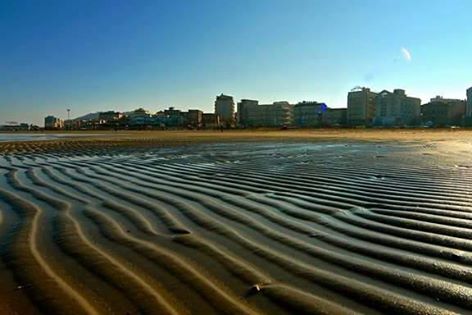 Cattolica